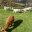 06555BF1-4F11-48DE-A279-5A10597CAAB4.jpeg
