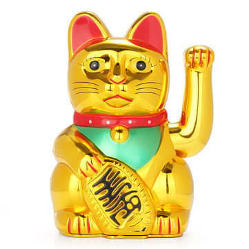 GoldenKitty.jpg