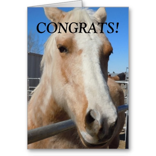 funny_professional_graduate_congratulations_horse_card-r7be19191c921401eb1e9395e5e170ccd_xvuat_8byvr_512.jpg