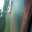 IMG-20171010-WA0004.jpeg