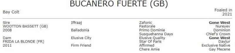 BUCANEROFUERTE.jpg