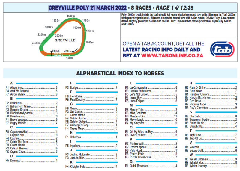 Screenshot2022-03-20at20-27-17CFSA_GREYVILLE2022.03.21.indb-HOLLYWOODBETSGREYVILLE2022.03.21.pdf.png