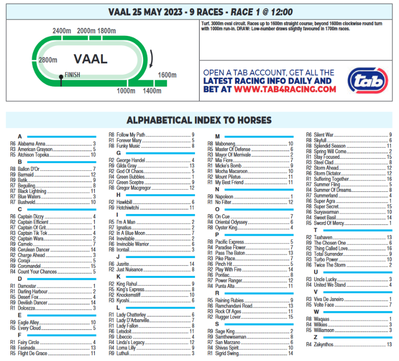 Screenshot2023-05-24at23-40-07VAAL2023.05.25.pdf.png