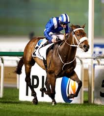 Mastermind-Meydan-Classic-Trial.jpg