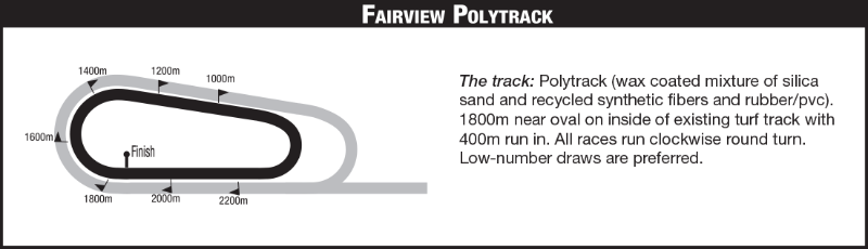 FAIRVIEWPOLLY_2020-11-26.png