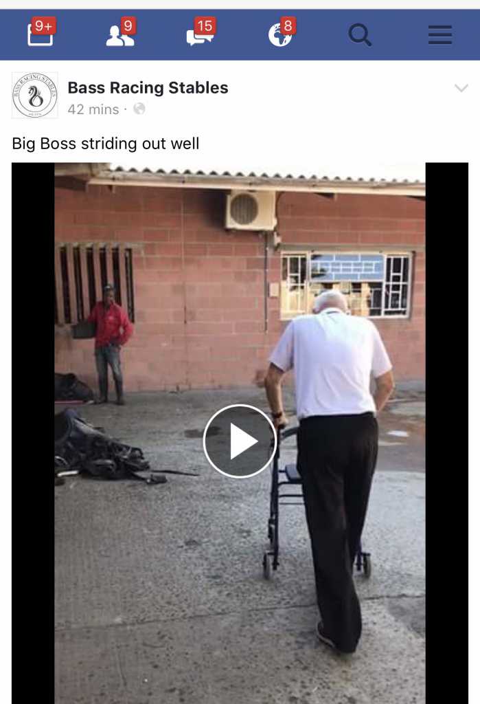 IMG_2501.PNG