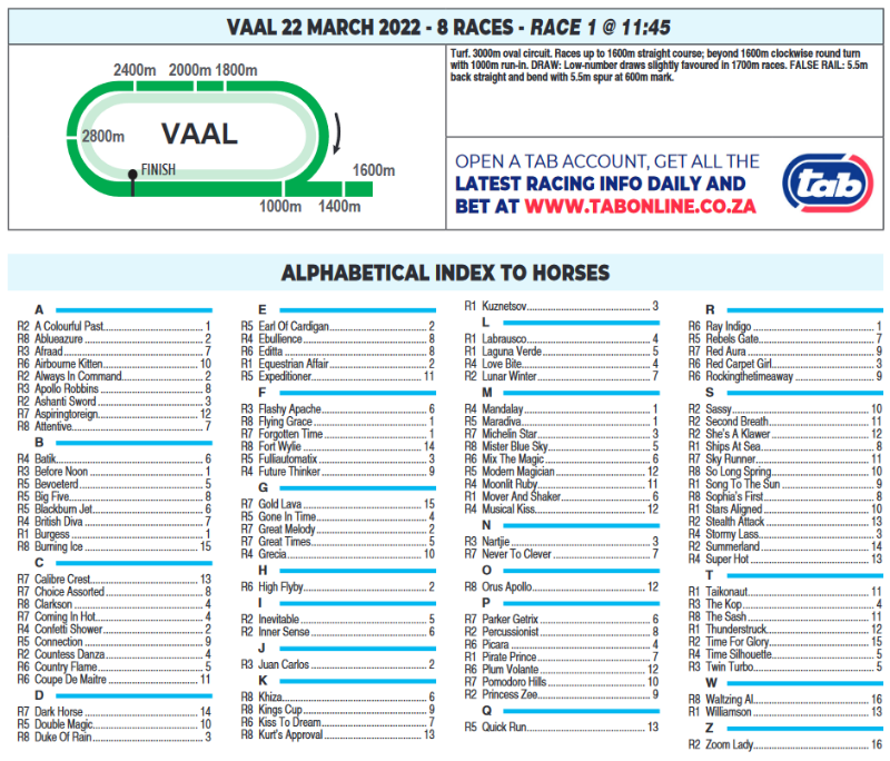 Screenshot2022-03-21at23-25-09CFSA_VAAL2022.03.22.indb-VAAL2022.03.22.pdf.png