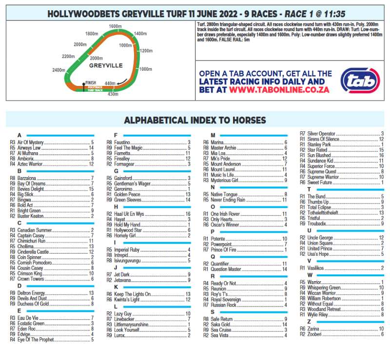 Screenshot2022-06-10at07-53-24HOLLYWOODBETSGREYVILLE2022.06.11.pdf.png