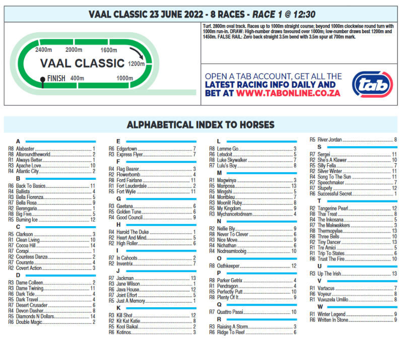 Screenshot2022-06-22at22-30-31CFSA_VAAL2022.06.23.indb-VAAL2022.06.23.pdf.png