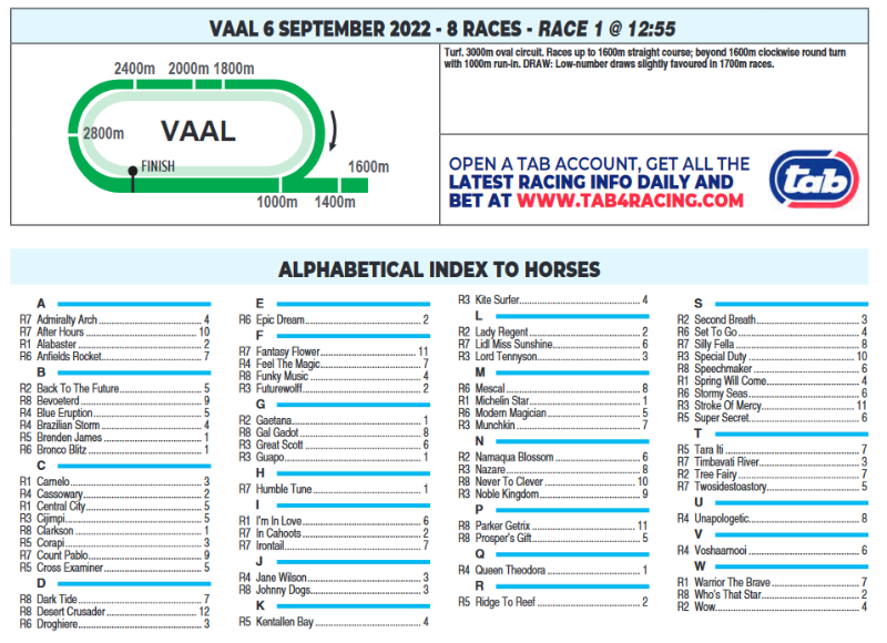 Screenshot2022-09-05at23-56-09CFSA_VAAL2022.09.06.indb-VAAL2022.09.06.pdf.png