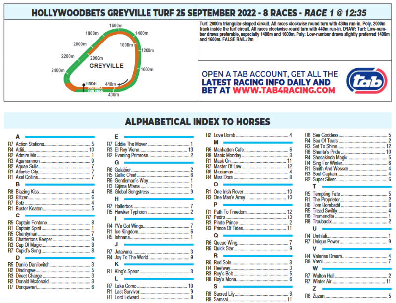Screenshot2022-09-25at00-26-41CFSA_GREYVILLE2022.09.25.indb-HOLLYWOODBETSGREYVILLE2022.09.25.pdf.png
