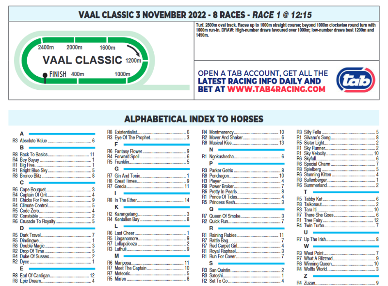 Screenshot2022-11-03at07-34-25CFSA_VAAL2022.11.03.indb-VAAL2022.11.03.pdf.png