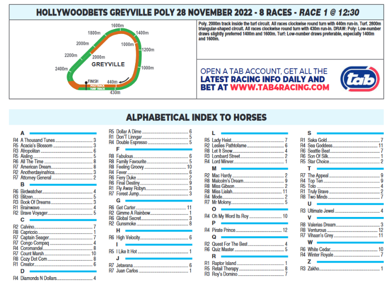 Screenshot2022-11-28at08-12-29CFSA_GREYVILLE2022.11.28.indb-HOLLYWOODBETSGREYVILLE2022.11.28.pdf.png