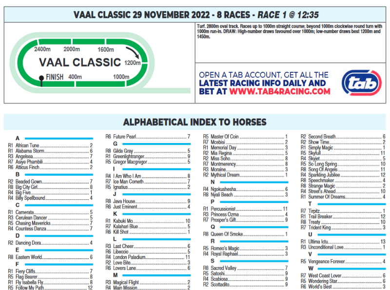 Screenshot2022-11-28at18-43-32CFSA_VAAL2022.11.29.indb-VAAL2022.11.29.pdf.png