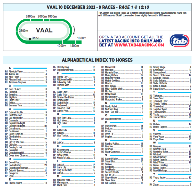 Screenshot2022-12-09at23-03-25CFSA_VAAL2022.12.10.indb-VAAL2022.12.10.pdf.png