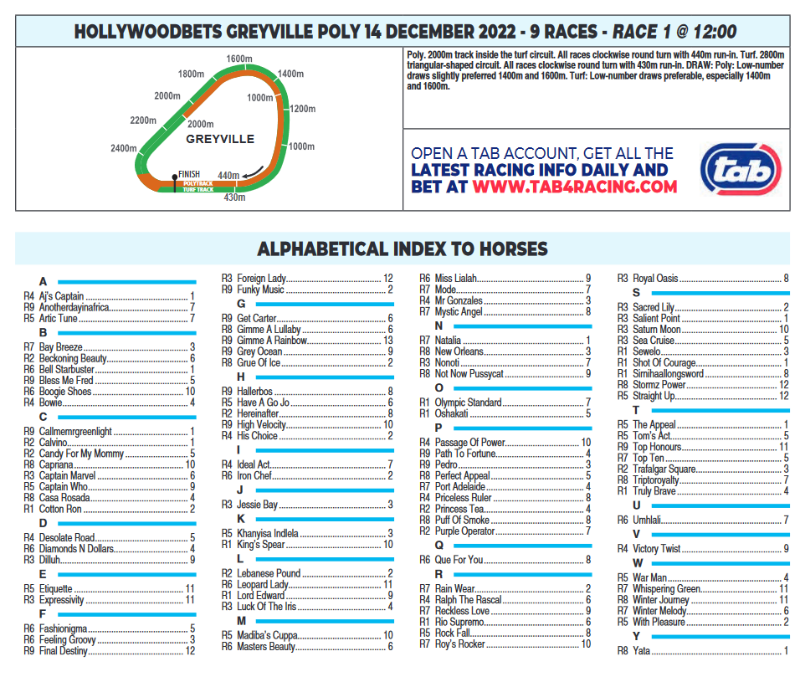 Screenshot2022-12-14at07-58-41CFSA_GREYVILLE2022.12.14.indb-HOLLYWOODBETSGREYVILLE2022.12.14.pdf.png