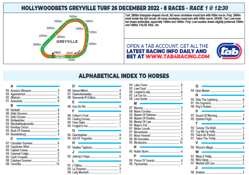 Screenshot2022-12-25at19-22-13CFSA_GREYVILLE2022.12.26.indb-HOLLYWOODBETSGREYVILLE2022.12.26.pdf.png