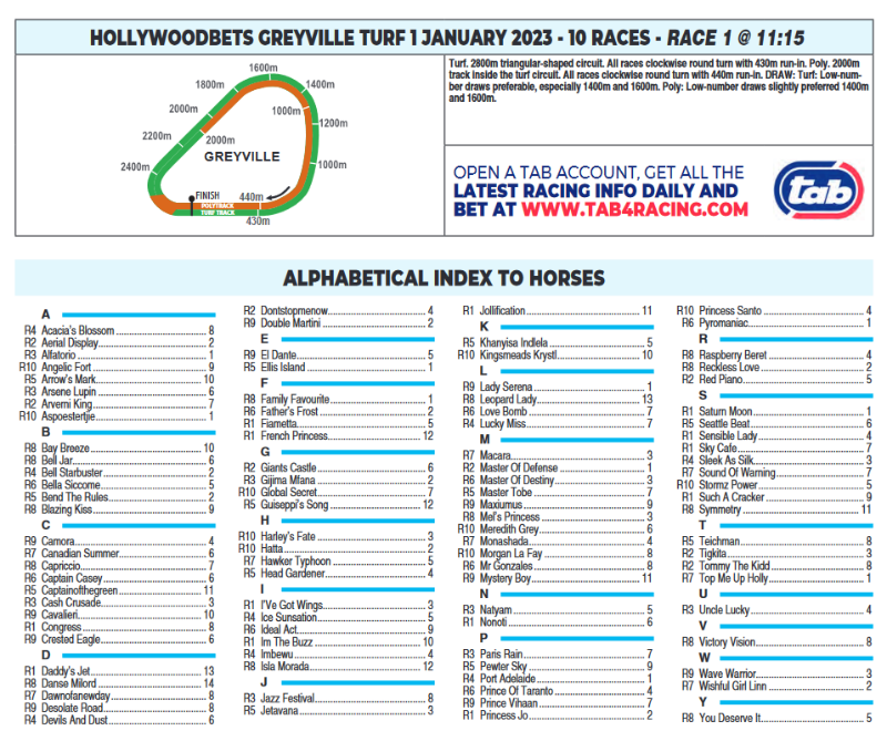Screenshot2023-01-01at02-13-23CFSA_GREYVILLE2023.01.01.indb-HOLLYWOODBETSGREYVILLE2023.01.01.pdf.png