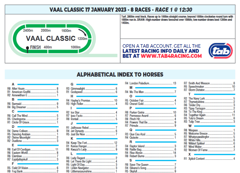 Screenshot2023-01-17at08-42-25CFSA_VAAL2023.01.17.indb-VAAL2023.01.17.pdf.png