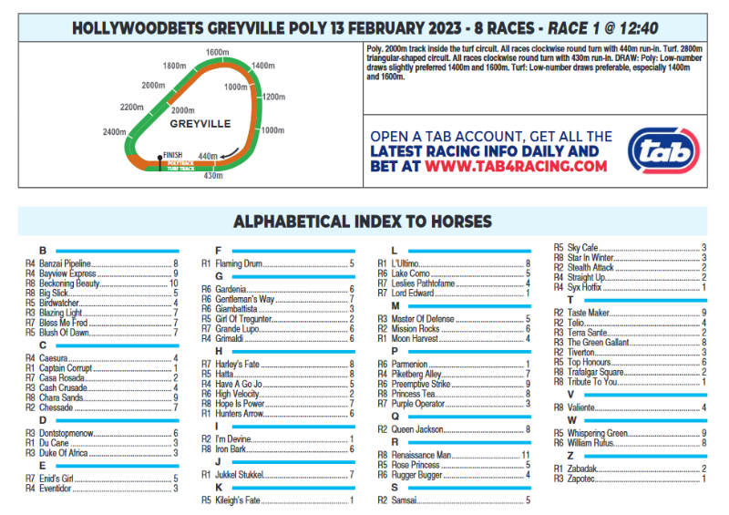 Screenshot2023-02-12at21-52-56CFSA_GREYVILLE2023.02.13.indb-HOLLYWOODBETSGREYVILLE2023.02.13.pdf.png