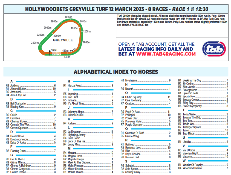 Screenshot2023-03-12at09-00-27HOLLYWOODBETSGREYVILLE2023.03.12.pdf.png