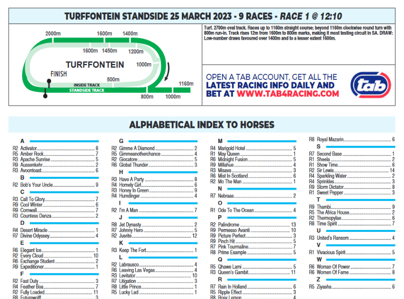 Screenshot2023-03-24at10-09-12TURFFONTEINSTANDSIDE2023.03.25.pdf.png