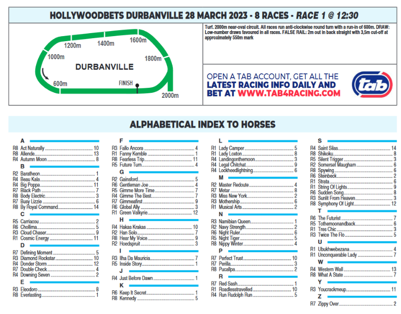 Screenshot2023-03-27at21-14-34HOLLYWOODBETSDURBANVILLE2023.03.28.pdf.png