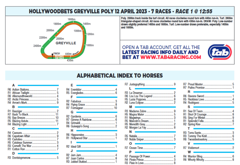 Screenshot2023-04-11at22-02-14HOLLYWOODBETSGREYVILLEPOLY2023.04.12.pdf.png
