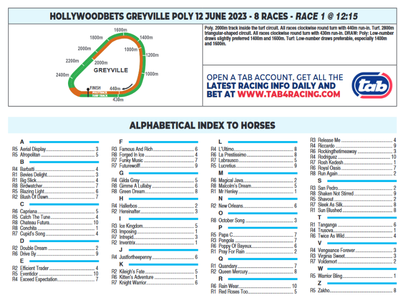 Screenshot2023-06-11at23-17-40CFSA_GREYVILLE2023.06.12.indb-HOLLYWOODBETSGREYVILLE2023.06.12.pdf.png