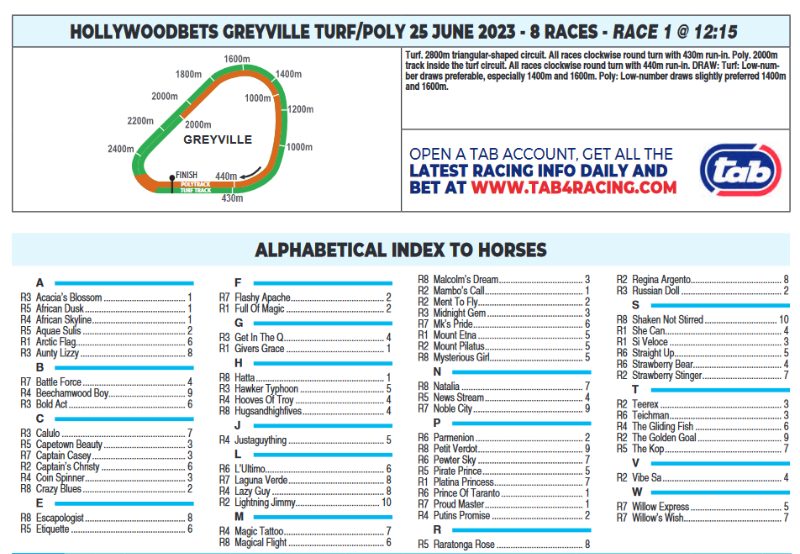 Screenshot2023-06-25at09-28-27HOLLYWOODBETSGREYVILLE2023.06.25.pdf.png