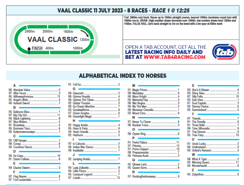 Screenshot2023-07-11at06-57-10CFSA_VAAL2023.07.10.indb-VAAL2023.07.11.pdf.png