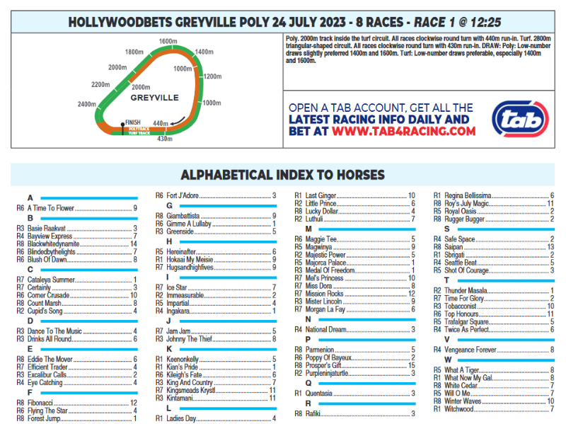 Screenshot2023-07-23at23-55-54HOLLYWOODBETSGREYVILLE2023.07.24.pdf.png
