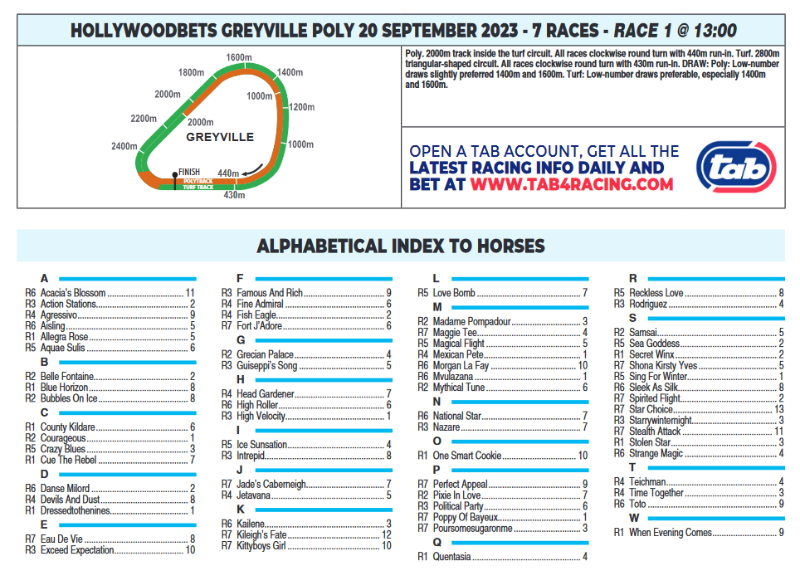 Screenshot2023-09-20at05-19-02CFSA_GREYVILLE2023.09.20.indb-HOLLYWOODBETSGREYVILLE2023.09.20.pdf.png