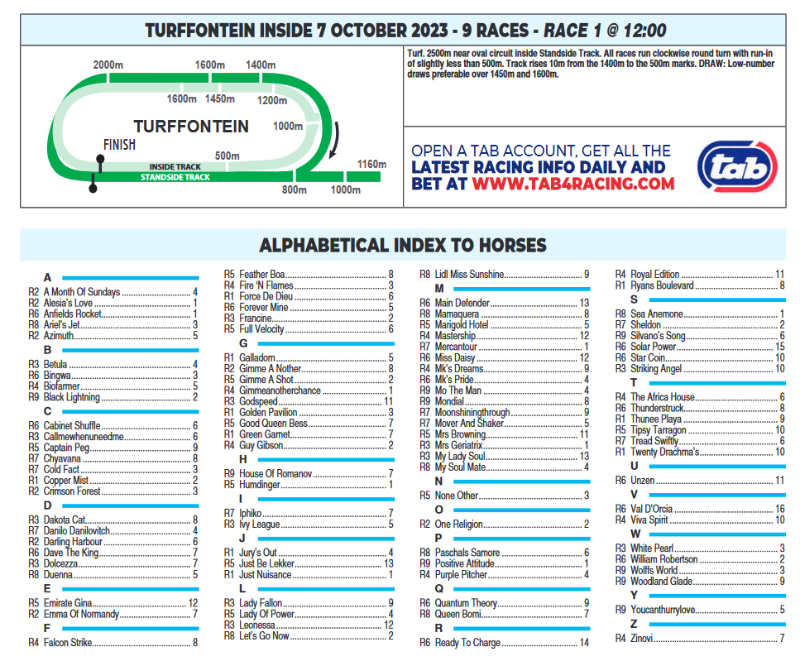 Screenshot2023-10-06at01-25-09TURFFONTEIN2023.10.07.pdf.png