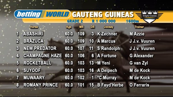 guineas1.jpg