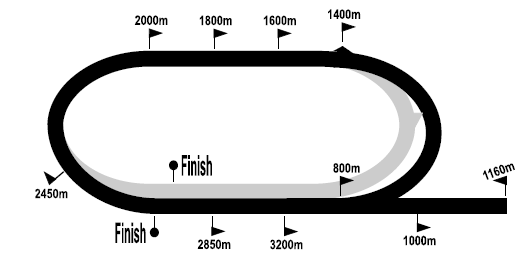 turfstand_2020-12-07.png